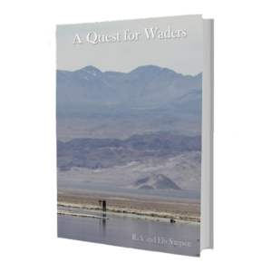 A Quest for Waders