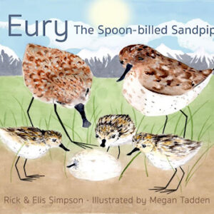 Eury the Spoon-billed Sandpiper