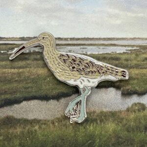 Eurasian Curlew Pin Badge (code 14)