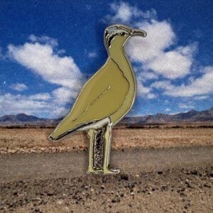 Cream-Coloured Courser Pin Badge (code 17)
