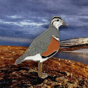 Eurasian Dotterel Pin Badge (code 19)