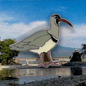Ibisbill Pin Badge (Code 9)