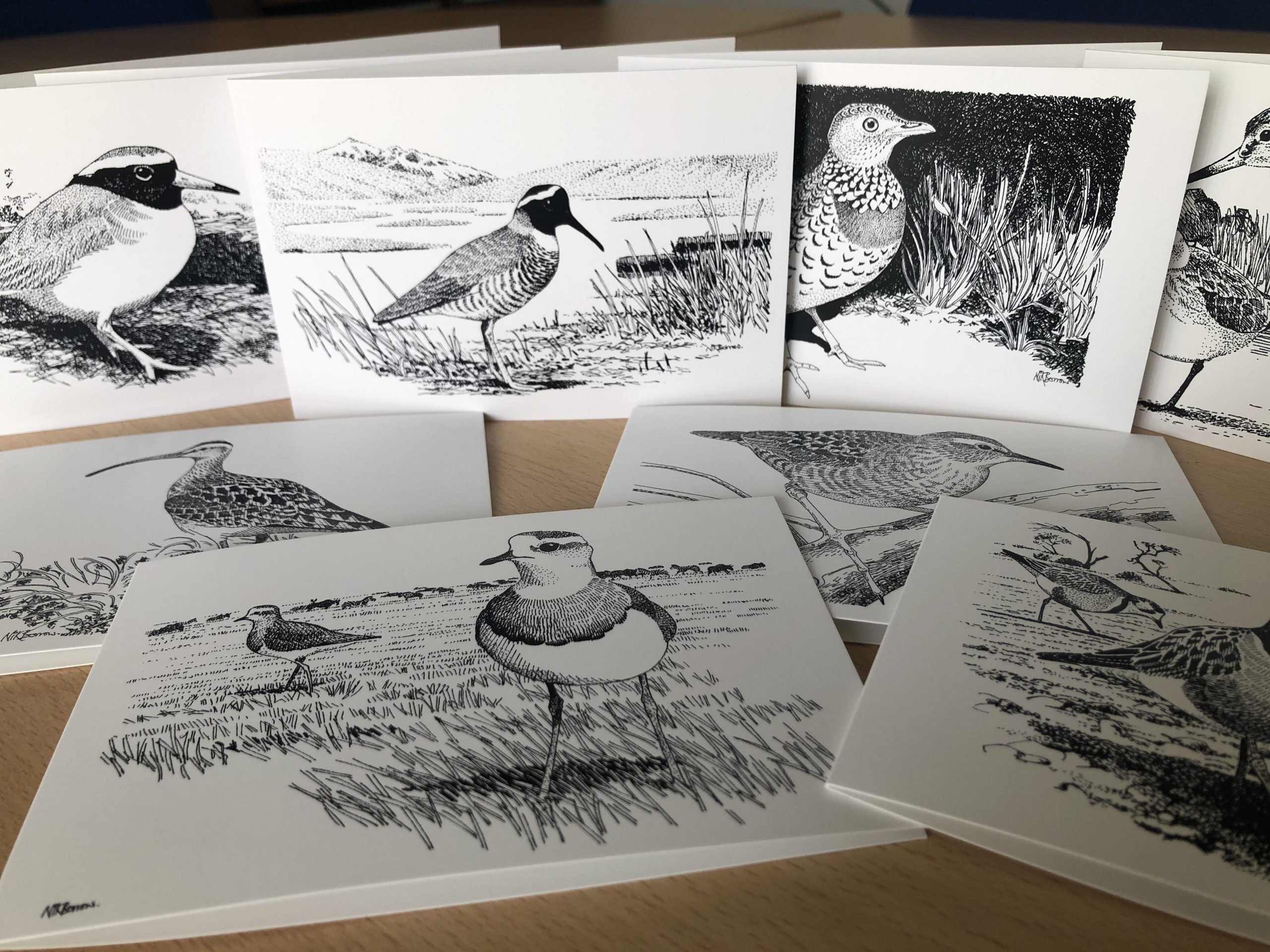 Wader Greetings Cards - by Nik Borrow